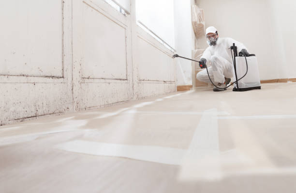 24/7 Emergency Mold Remediation experts in Mount Laurel, NJ